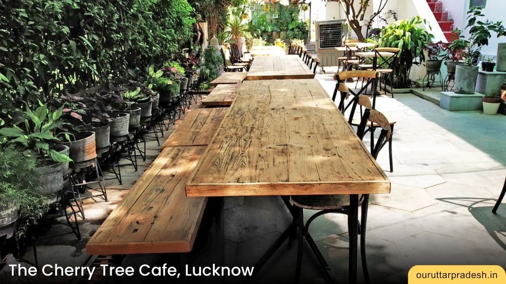 7. The Cherry Tree Cafe, Lucknow