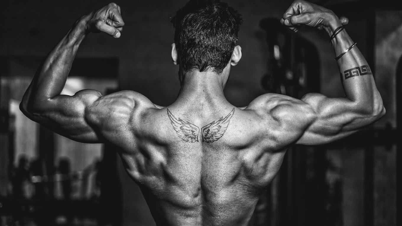 Muscle Craft Fitness Gym Kanpur