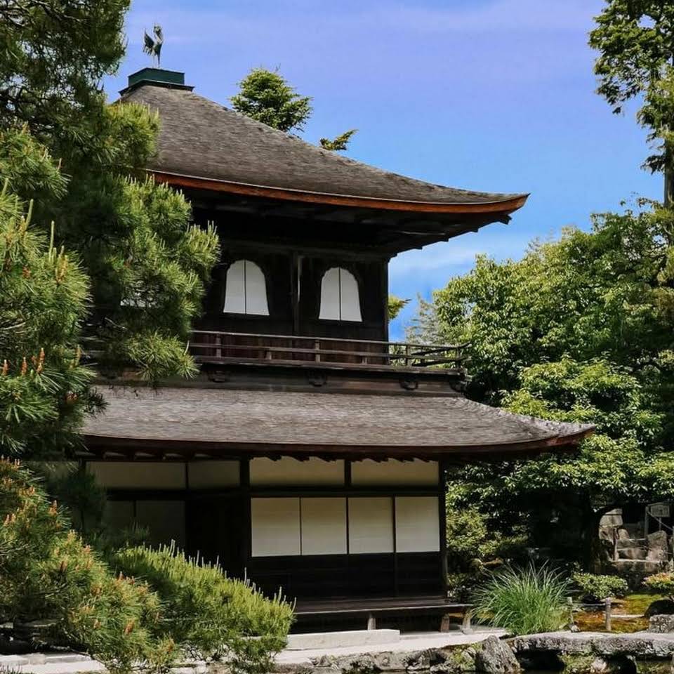 Royal Properties Kanpur