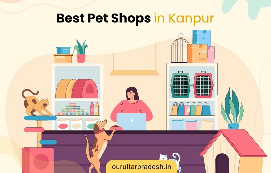 Best Pet Shops in Kanpur - OurUttarPradesh.in